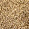 Whole Dill Seeds by Its Delish, bulk (10 lbs) view 1