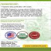 NutreeVit Pure Organic Kelp Powder Seaweed Supplement - 200 Capsules (500 mg) - All Natural Kelp Supplement Capsules Containing Pure Kelp Seaweed Powder for Daily Use view 3