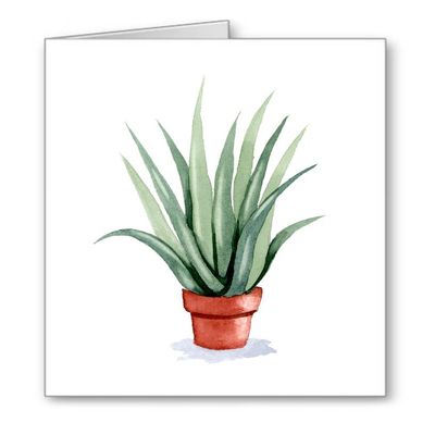 DJ Rogers Fine Art Aloe Vera Plant - Set of 10 Note Cards With Envelopes