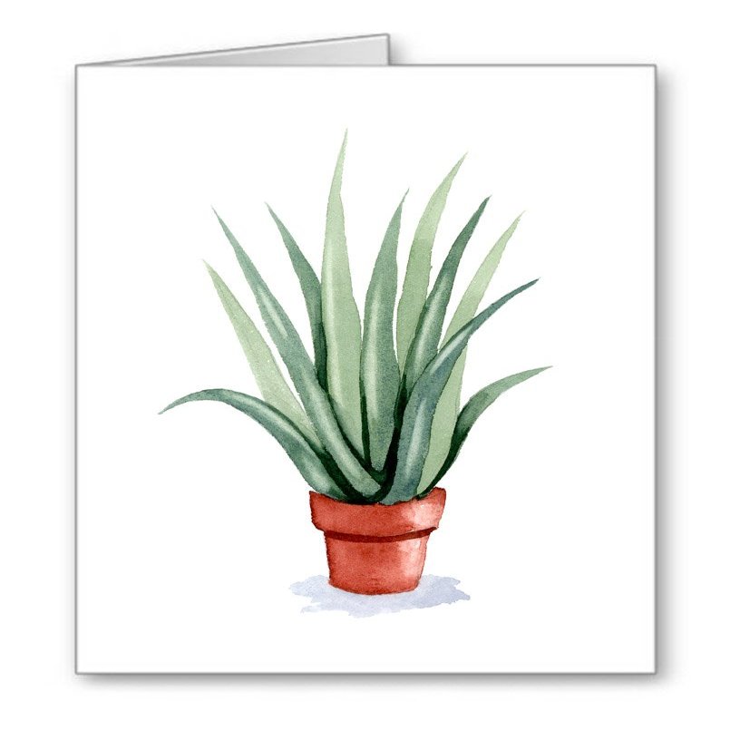DJ Rogers Fine Art Aloe Vera Plant - Set of 10 Note Cards With Envelopes