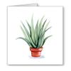 DJ Rogers Fine Art Aloe Vera Plant - Set of 10 Note Cards With Envelopes view 1