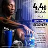 Ronnie Coleman's BCAA XS Powder with EAAs, Branched Chain Amino Acids Post Workout Muscle Recovery, Sugar Free Hydration Drink for Women and Men, Tropical Punch, 30 Servings view 4