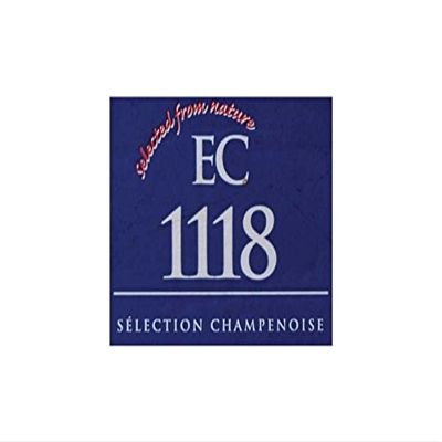 Dry Wine Yeast - EC-1118 (8 g)