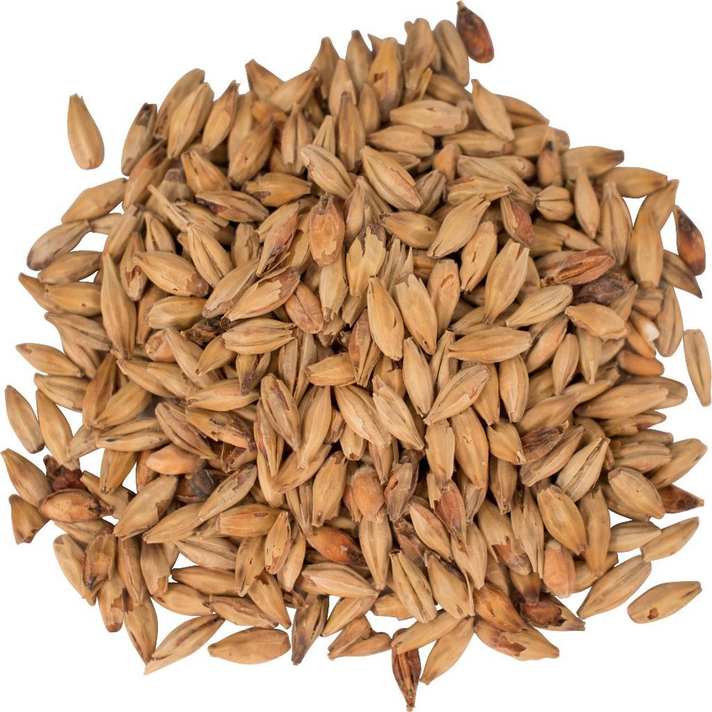 Brewmaster-GR480E Malt - Melanoidin - 5 lb