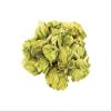 Amarillo Whole Hops 1 lb view 1