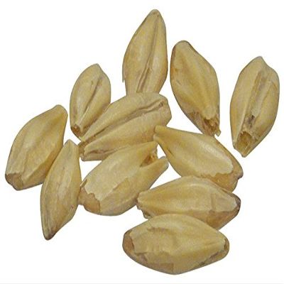 Brewmaster GR411E Malt - Goldpils Vienna - 5 lb