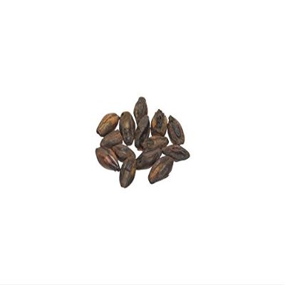 Malt - Briess Dark Chocolate - 1 LB