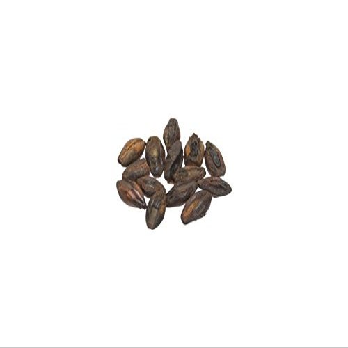Malt - Briess Dark Chocolate - 1 LB