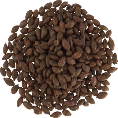 Malt - Carafa Special III - 5 lb