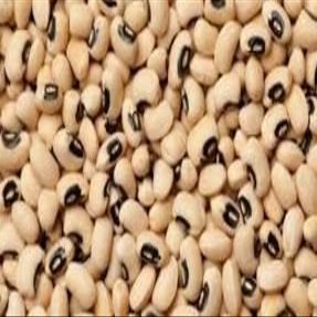 Black Eyed Peas -22Lbs
