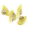 Kiwi Quarter Slices -22Lbs view 1