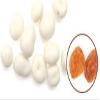 Greek Yogurt Thompson Raisins -25Lbs view 1