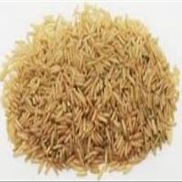 Brown Long Grain Rice -22Lbs