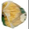 365 by Whole Foods Market, Organic Wide Egg Noodles, 16 Ounce view 4