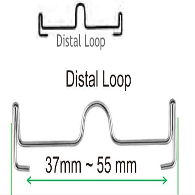 2 Pack (20) SmileTech Palatal Arch Bar Distal Loop Dental Orthodontics Ten Assorted Sizes