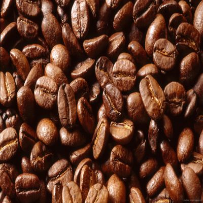100% Colombia Regular Supremo Coffee 1 Lb. Ground French Press or Percolator