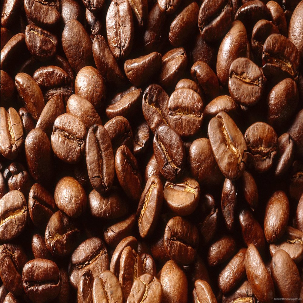 100% Colombia Regular Supremo Coffee 1 Lb. Ground French Press or Percolator