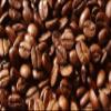 100% Colombia Regular Supremo Coffee 1 Lb. Ground French Press or Percolator view 1