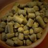 Strange Brew US Galena Hop Pellets - 1 oz view 1