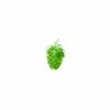 NorthernBrewer Columbus Hop Pellets 1 Oz. view 2