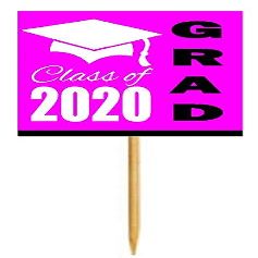 12pack Pink Graduation Party CUpcake Desert Appetizer Food Decoration Picks