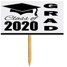 12pack White Graduation Party CUpcake Desert Appetizer Food Decoration Picks
