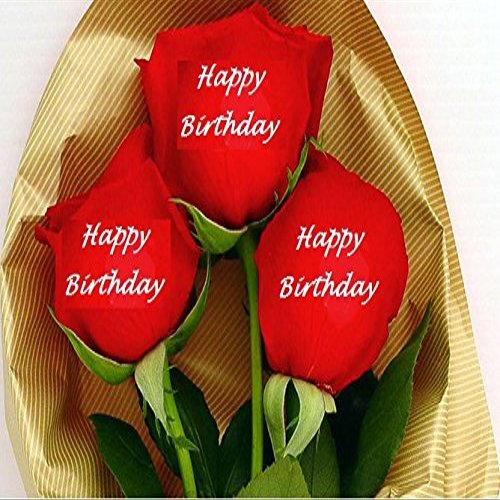 24 Red Roses Embossed with " Happy Birthday "