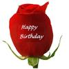 24 Red Roses Embossed with " Happy Birthday " view 2
