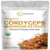 Cordyceps Mushroom 100:1 Powder (Organic) view 1