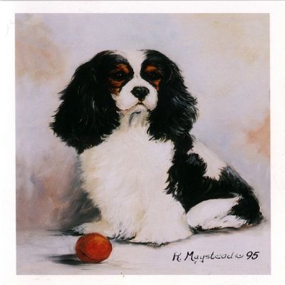 Tri-color Cavalier King Charles with Red Ball Notecards