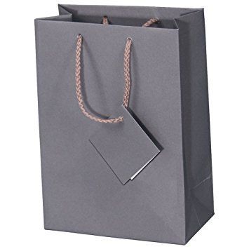10 Pack Small Gray Matte Finish Solid Shopping Paper Gift Sales Tote Bags with Blank Message Tag 4" x 4.5" x 2.75" by R J Displays