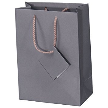 10 Pack Small Gray Matte Finish Solid Shopping Paper Gift Sales Tote Bags with Blank Message Tag 4" x 4.5" x 2.75" by R J Displays