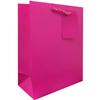 JILLSON & ROBERTS 6-Count All-Occasion Medium Gift Bags with Tissue Solid Color Assortment, Perfectly Primary view 4