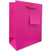 JILLSON & ROBERTS 6-Count All-Occasion Small Gift Bags with Tissue Solid Color Assortment, Perfectly Primary view 4