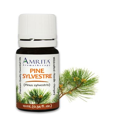 Amrita Aromatherapy Pine Sylvestre Essential Oil, 100% Pure Undiluted Pine sylvestris, Therapeutic Grade, Premium Quality Aromatherapy Oil, Tested & Verified, 60ML