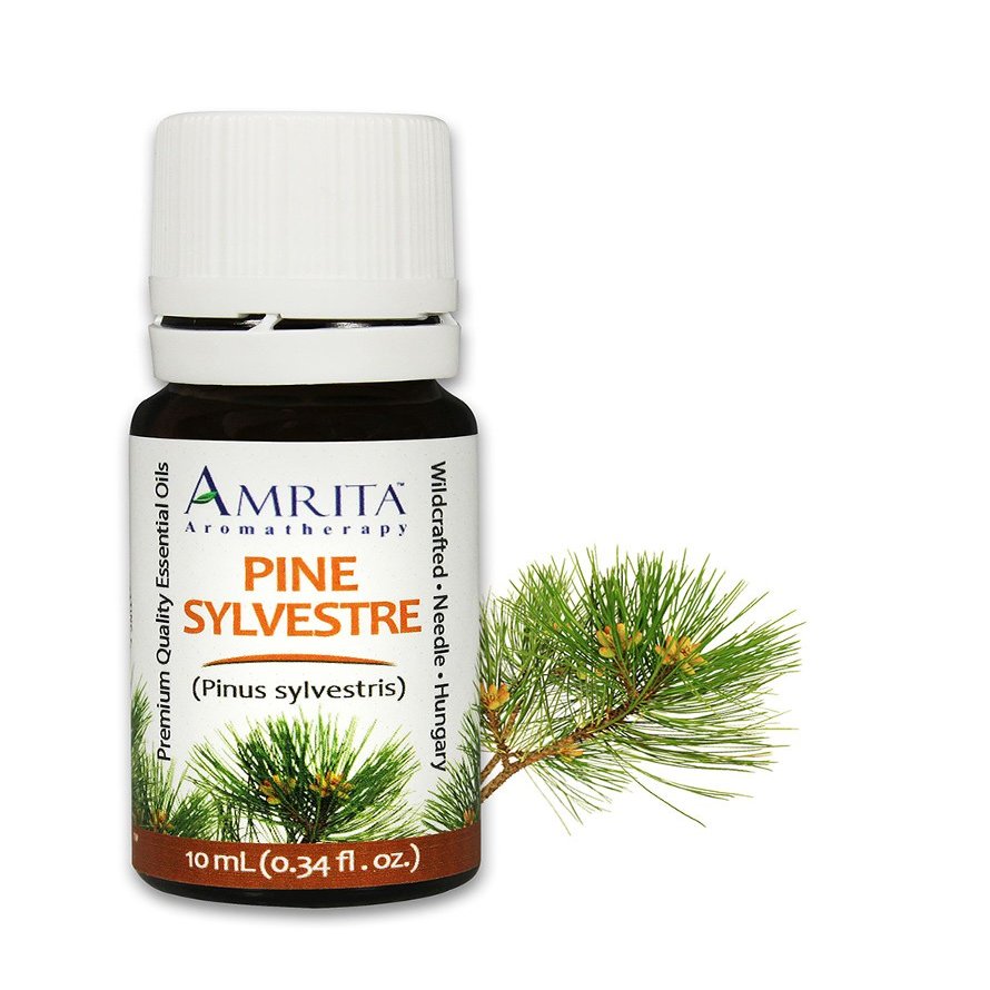 Amrita Aromatherapy Pine Sylvestre Essential Oil, 100% Pure Undiluted Pine sylvestris, Therapeutic Grade, Premium Quality Aromatherapy Oil, Tested & Verified, 60ML
