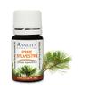 Amrita Aromatherapy Pine Sylvestre Essential Oil, 100% Pure Undiluted Pine sylvestris, Therapeutic Grade, Premium Quality Aromatherapy Oil, Tested & Verified, 60ML view 1