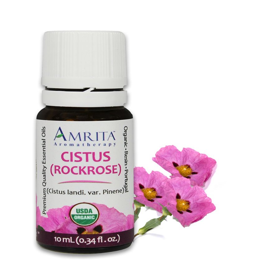 Amrita Aromatherapy Organic Cistus Rockrose Essential Oil, 100% Pure Undiluted Cistis Landi, VAR. pinene, Therapeutic Grade, Premium Quality Aromatherapy Oil, Tested & Verified, 3ML