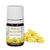 Amrita Aromatherapy Organic Helichrysum Serotinum Essential Oil, 100% Pure Undiluted Helichrysum ital. VAR. serot, Therapeutic Grade, Premium Quality Aromatherapy Oil, Tested & Verified, 5ML view 1