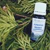 Amrita Aromatherapy Organic Juniper Berry Essential Oil, 100% Pure Undiluted Juniperus communis, Therapeutic Grade, Premium Quality Aromatherapy Oil, Tested & Verified, 5ML view 2