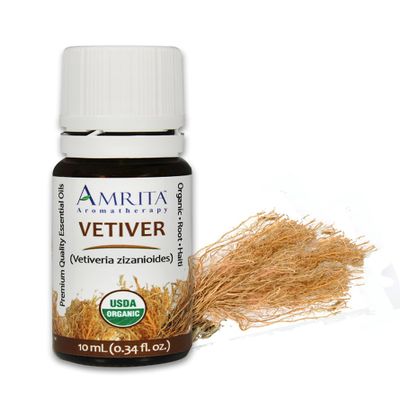 Amrita Aromatherapy Organic Vetiver Essential Oil, 100% Pure Undiluted Vetiveria zizanioides, Therapeutic Grade, Premium Quality Aromatherapy Oil, Tested & Verified, 60ML