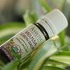 Amrita Aromatherapy Organic Melissa Lemon Balm Essential Oil, 100% Pure Undiluted Melissa officinalis, Therapeutic Grade, Premium Quality Aromatherapy Oil, Tested & Verified, 10ML view 2