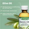 De La Cruz Avocado Oil, Pure Olive Oil and Grapeseed Oil Bundle - 100% Expeller Pressed Pure and Natural Oils for Hair and Body - Lightweight Body Oil Collection for Dry Skin view 4