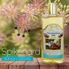 Bible Land Treasures Anointing Oil, Biblical Oil with Spikenard, Anointing Oils from The Holy Land. 8.45 fl.oz | 250 ml view 2