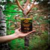 Siberian Chaga Mushroom Chunks, Premium Quality, Wild Harvested, 100 Grams (3.5 OZ) view 3