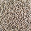 Haus Malts Malted Soft Red Wheat 10lb Bag view 1