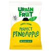 Urban Fruit Pineapple - 35g (0.08lbs) view 1