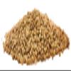 Whole Coriander Seeds All Natural by It's Delish, (11 Oz. Large Jar) view 4
