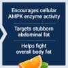 Life Extension AMPK Metabolic Activator*, Hesperidin, G. pentaphyllum, Fight unwanted Belly Fat, Target Overall Fat, Gluten-Free, Vegetarian, 1-Daily, Non-GMO, 30 Tablets view 4
