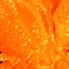 Set of 36 Orange Solid Organza Tie Gift Bags 3.5" x 5.5" view 1